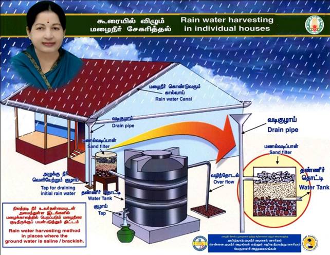 Make A Chart On Rainwater Harvesting